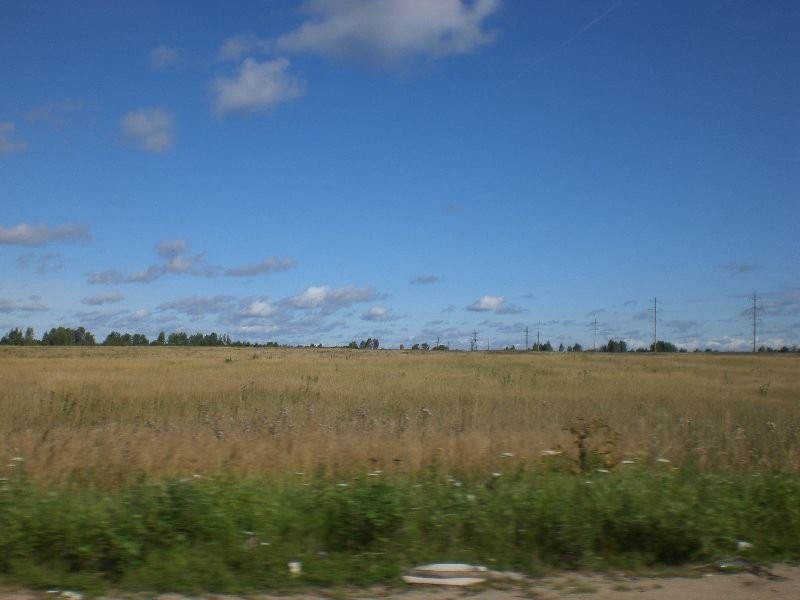 CIMG0544.JPG