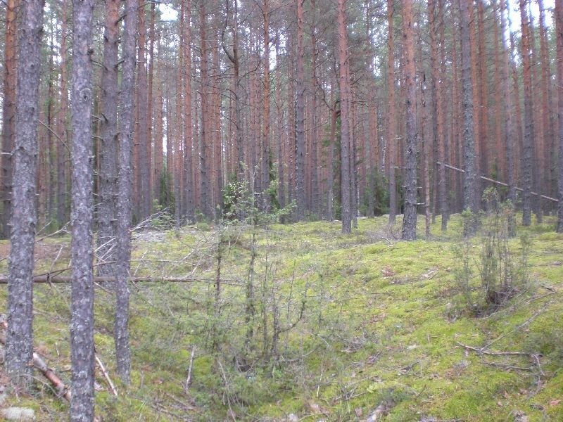 CIMG0548.JPG