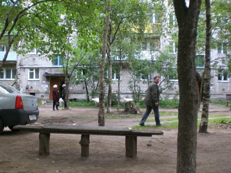 CIMG0557.JPG