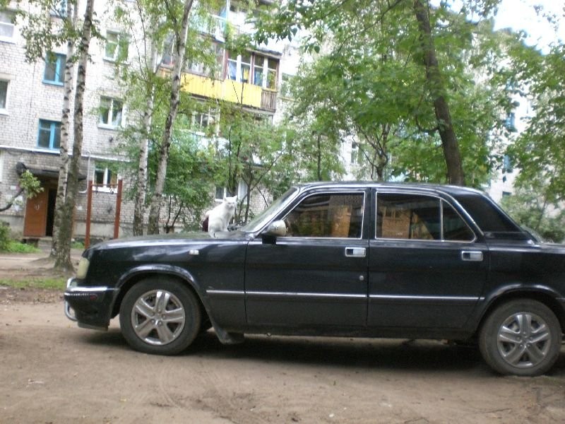 CIMG0558.JPG