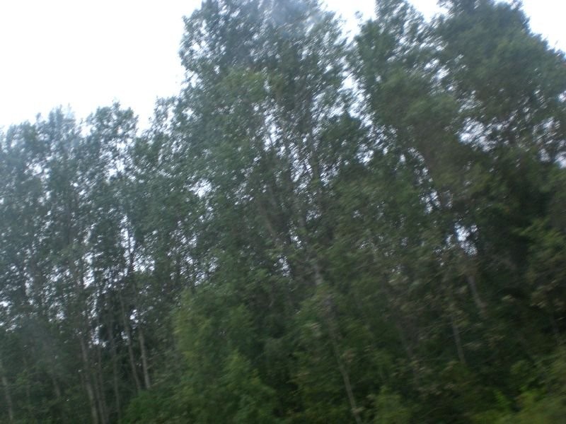 CIMG0565.JPG