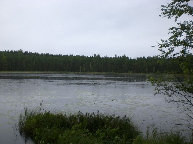 CIMG0582.JPG