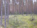 CIMG0548