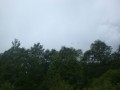 CIMG0564
